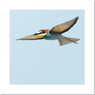 A European Bee-Eater In Flight Cut Out Posters and Art